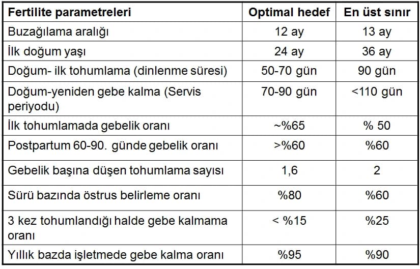 İneklerde Fertilite — görsel 1