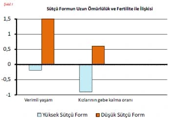 Sütçü Formun Etkileri — görsel 3