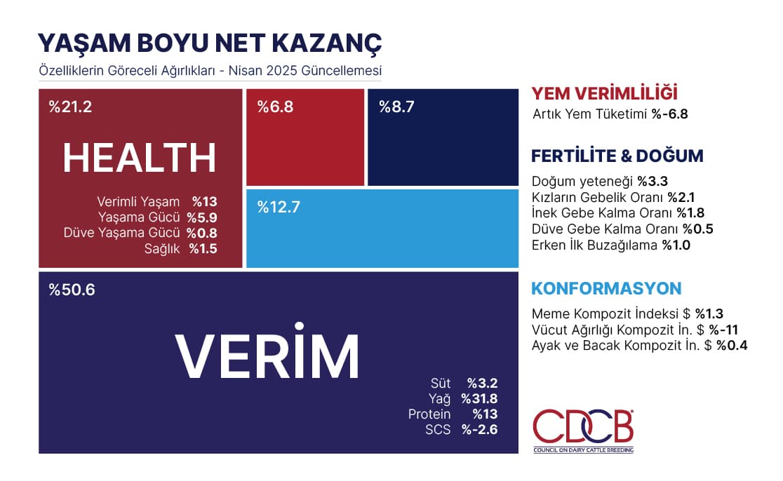 Yaşam Boyu Net Kazanç
