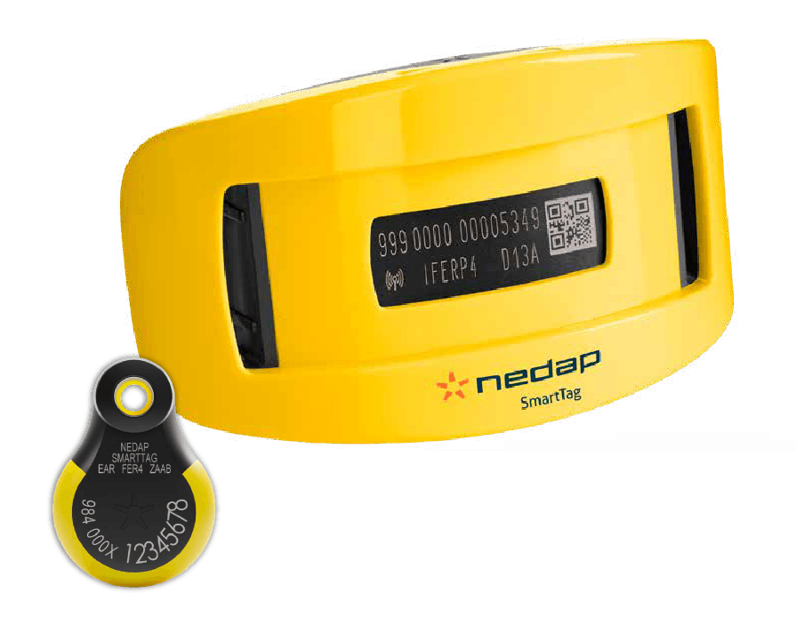 Nedap SmartTag tasma ve küpe