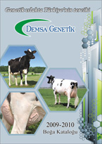 2009-2010 Boğa Katalog