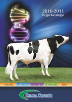 2010-2011 Boğa Katalog