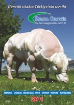 2011 Etçi Katalog