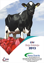 CRV 2013 Boğa Katalog
