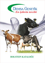 2017 Holstein Katalog