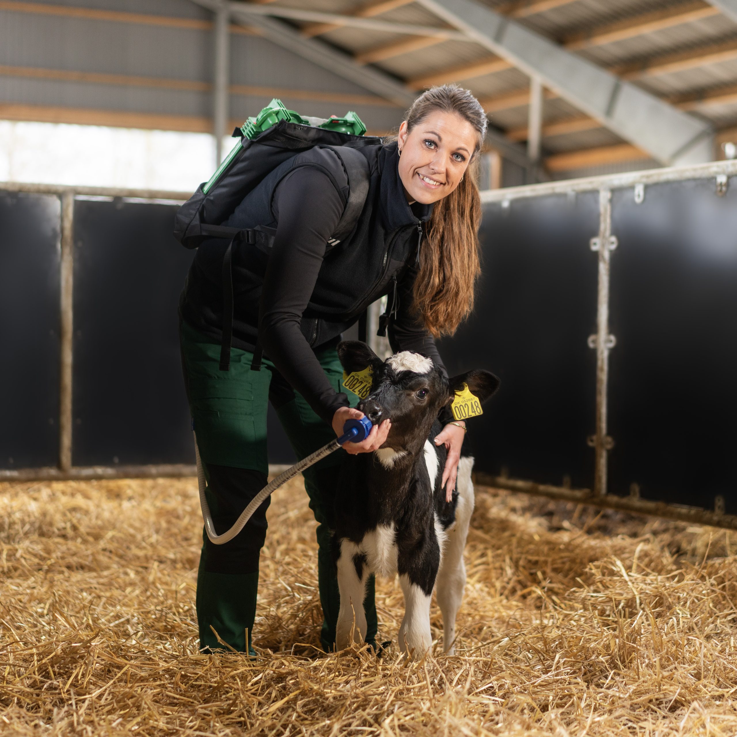 Coloquick Kolostrum Yönetimi