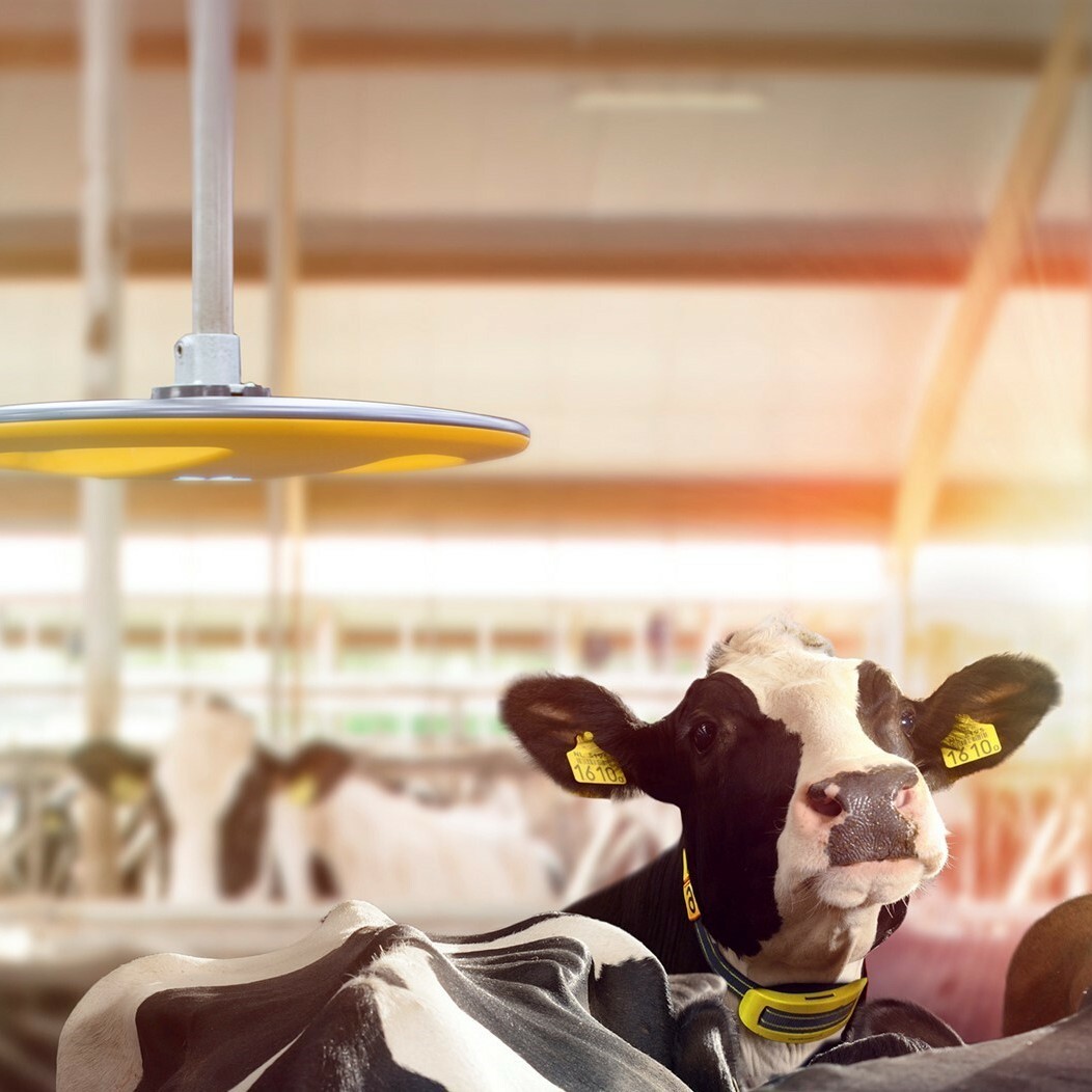 Nedap Kızgınlık Takip Sistemi